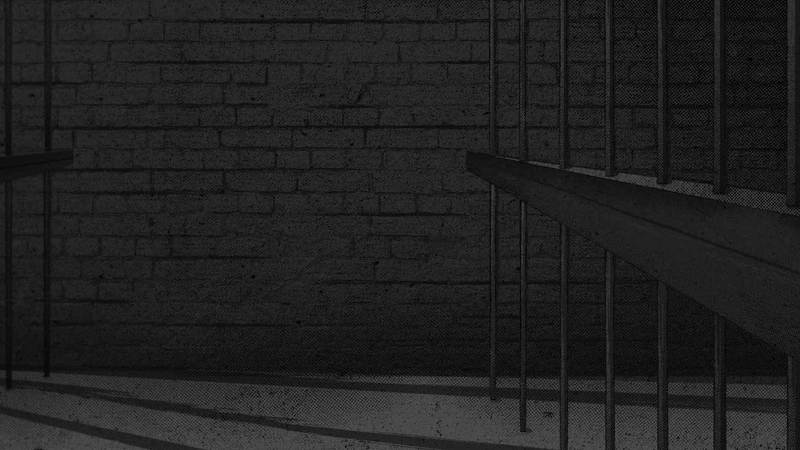 Metal bars cast long shadows on a concrete floor and a brick wall, creating a dark, dramatic scene reminiscent of a prison cell.