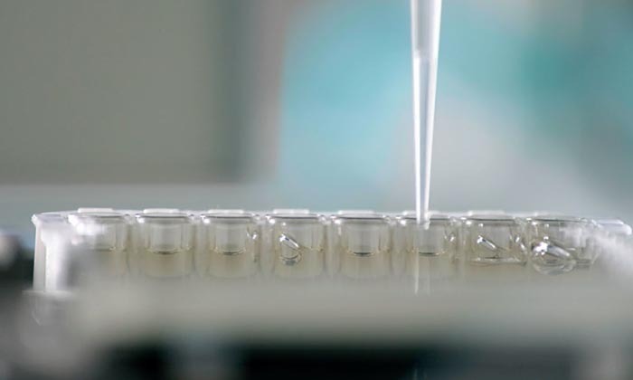 Testing Zika samples