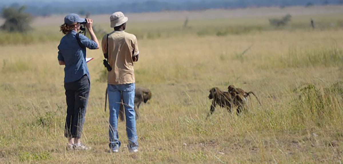 Two people look out into a plain of monkeys.