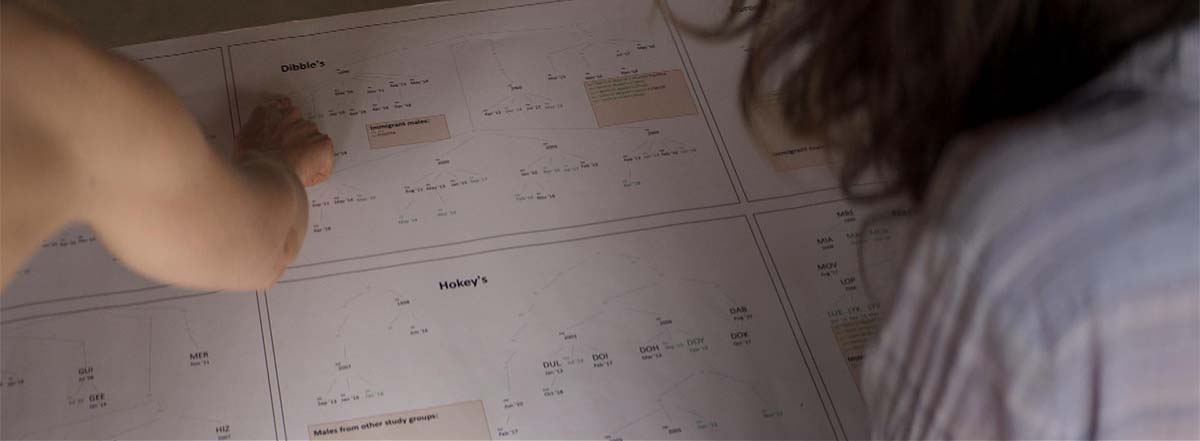 Two people look over a paper with data.