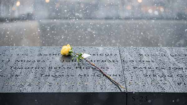 A single yellow rose lies on the rain-streaked granite with names engraved on the 9/11 Memorial.