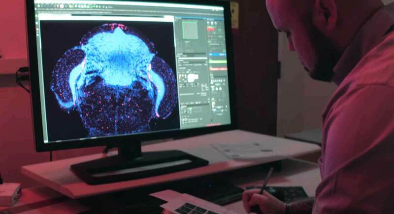 A man sits at a computer desk taking notes. There is a scan of a brain on the computer monitor.