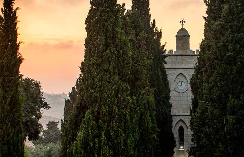 A stone clock tower is partially visible through a line of tall evergreen trees with a sunset in the background.