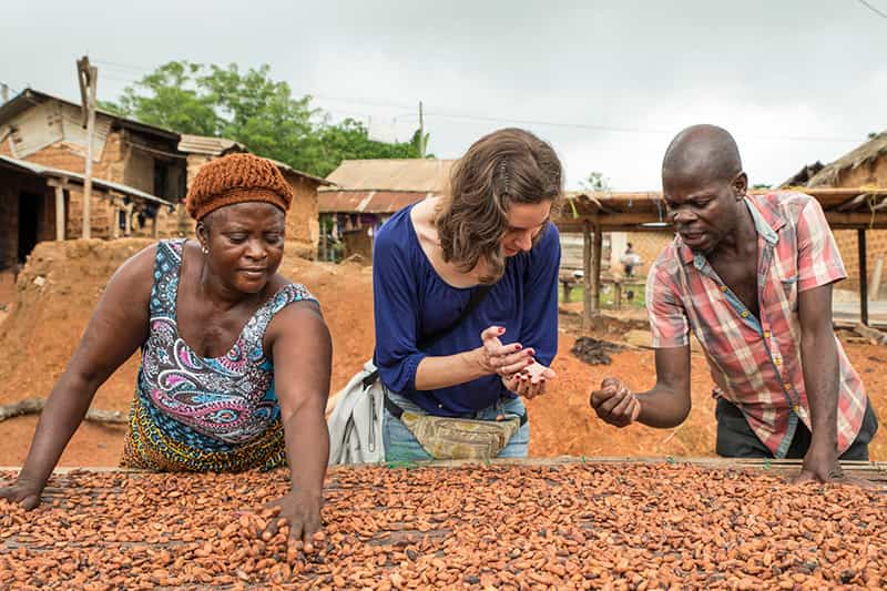 Three people, two women and one man, examine cocoa beans spread on a drying table.