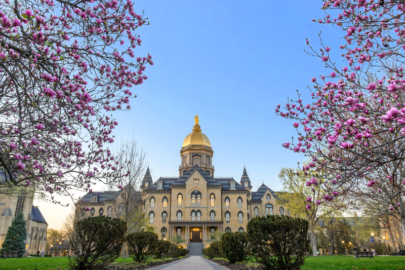 The Main Building of the University of Notre Dame, also known as the Golden Dome, framed by blooming magnolia trees.