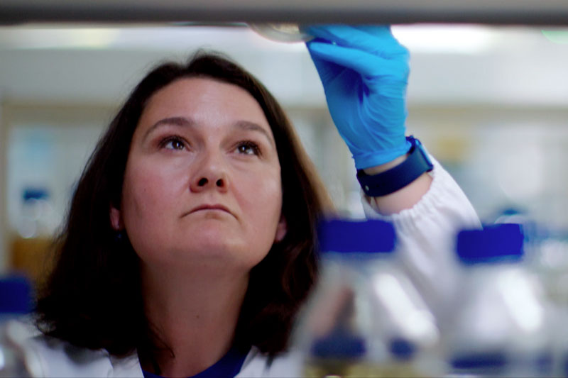 A scientist wearing a white lab coat and blue gloves lifts a petri dish above eye level in a lab.