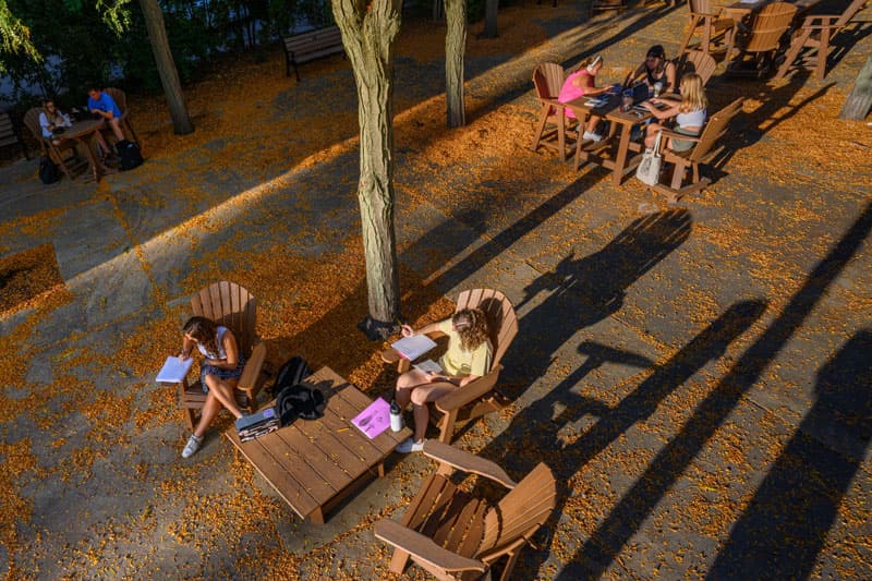 A group of students studying outdoors on a sunny day. They are seated at wooden tables and chairs, surrounded by trees with fallen leaves on the ground.
