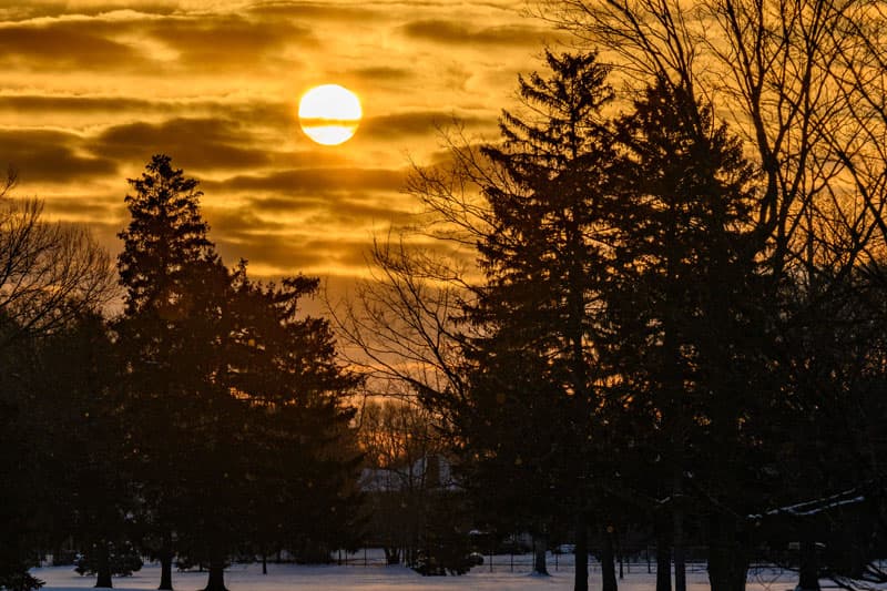 A sunset with a large, bright sun peeking through a cloudy sky. The sky is a warm yellow and orange color. In the foreground, the silhouettes of several trees are visible against the bright sky.