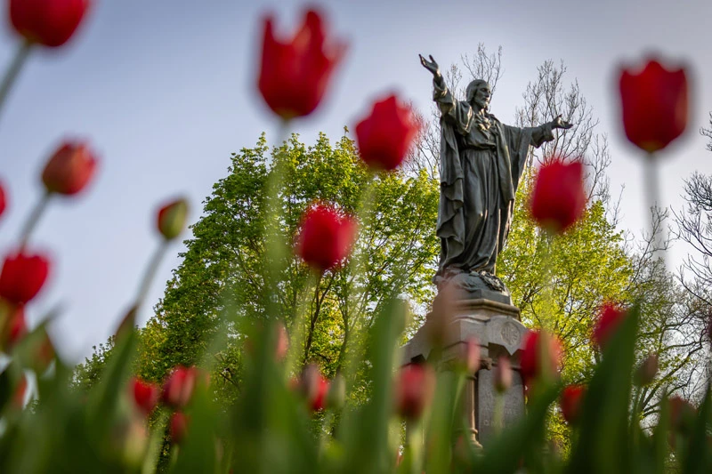 “Sacred Heart of Jesus statue, arms outstretched, seen through a field of red tulips.