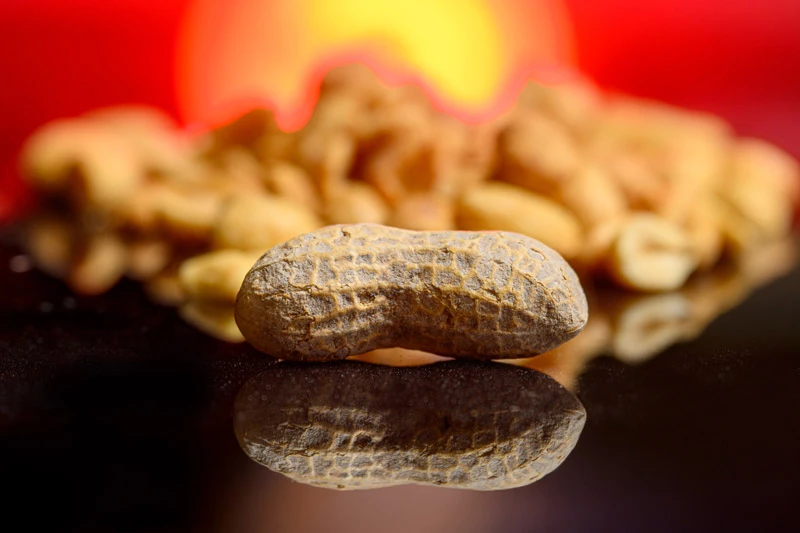Single peanut in the shell on a reflective surface, with a blurred background of more peanuts against a warm, red and orange backdrop.