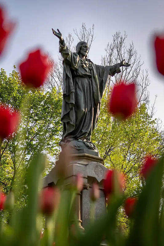 The Sacred Heart of Jesus statue at Notre Dame, with arms outstretched, is seen from behind a foreground of blurred red tulips.