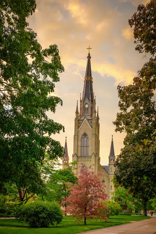 The Basilica of the Sacred Heart at Notre Dame is framed by trees, with a path leading towards it under a vibrant sky.