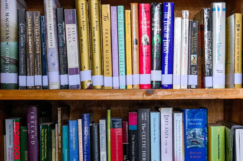 Books lined up on a book shelf.