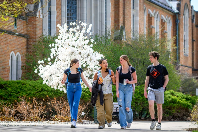 Four students walk and talk near a blooming magnolia tree outside a brick building on the University of Notre Dame campus.