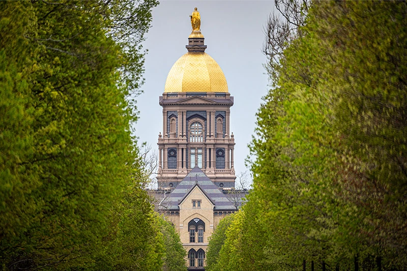 The Main Building's golden dome at the University of Notre Dame, topped with a statue of Mary, seen through spring foliage.