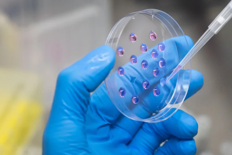 A gloved hand holds a petri dish with purple liquid drops, and a pipette is dispensing more liquid into one of the drops.