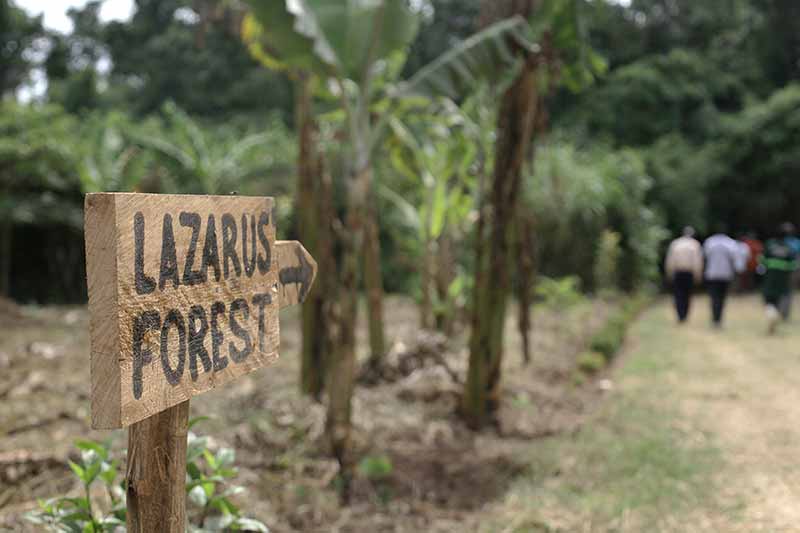'Lazarus Forest' handwritten on a	wooden sign with an arrow pointing to one direction. Blurred in the background is a small group of people walking away from the camerea.
