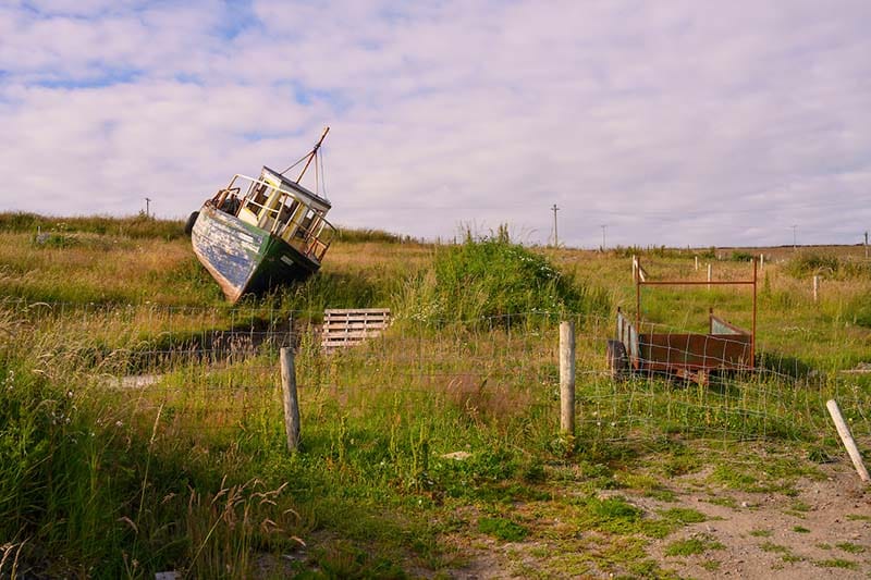 A boat on land lays tilted among tall grasses.