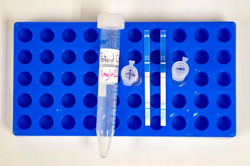 Fentanyl test strips show results. One the left, a positive result showing one line, and a negative result showing two lines.