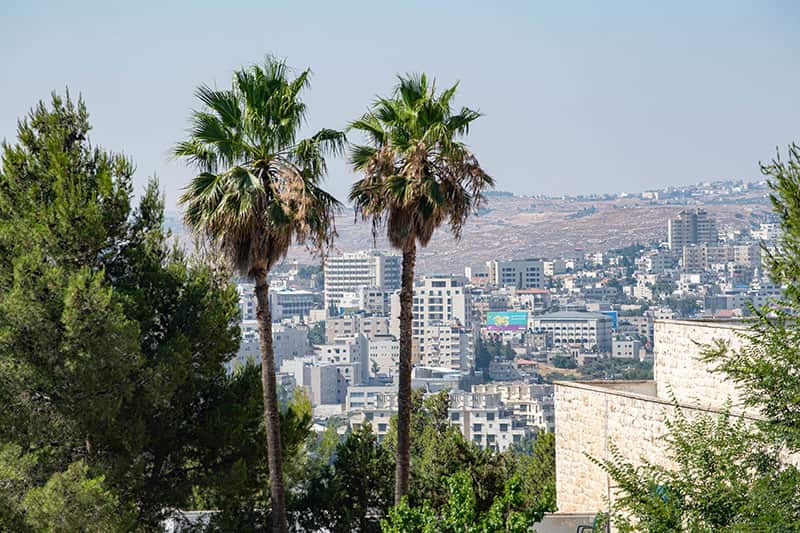 Palm trees in the foreground, the city of Bethlehem in the background.