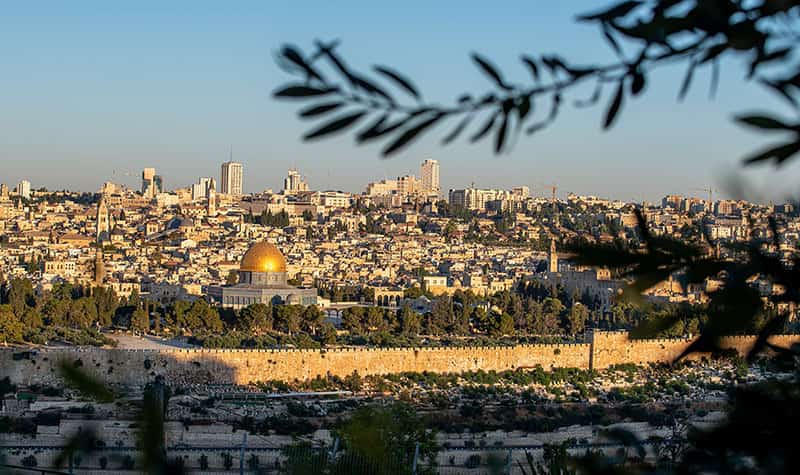 A view of a city with a blurred out olive branch.