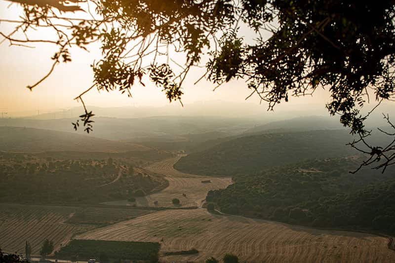 Valley of Elah, the hills disappear in the distance because of the fog.