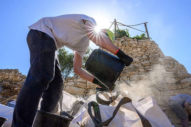 A graduate student wears gloves and is dumping a bucket of dirt and sand into a large tote. The sun behind the student creates a starburst between his head and shoulder.