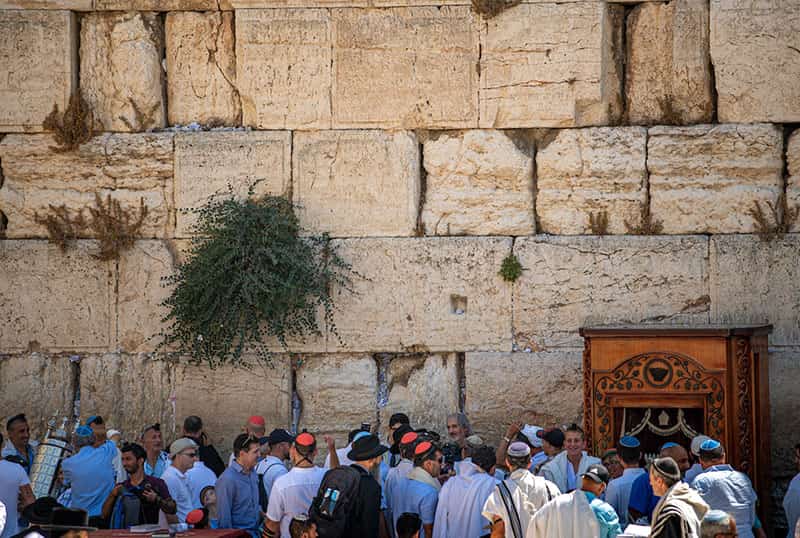 A large group of people stand at the Western Wall.