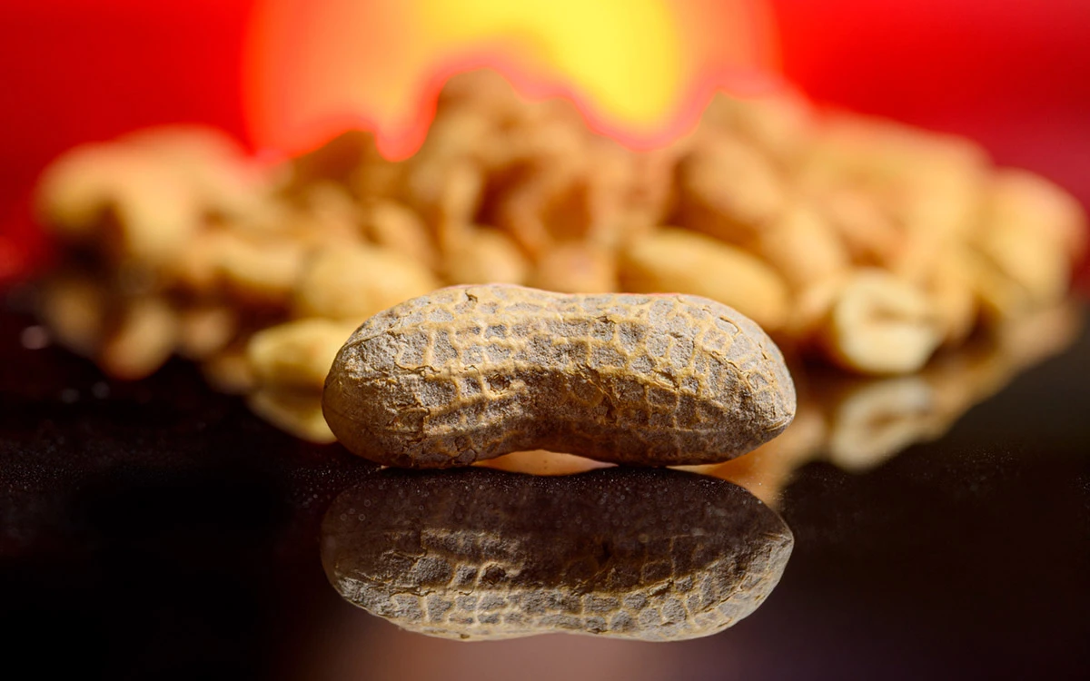 Single peanut in the shell on a reflective surface, with a blurred background of more peanuts against a warm, red and orange backdrop.