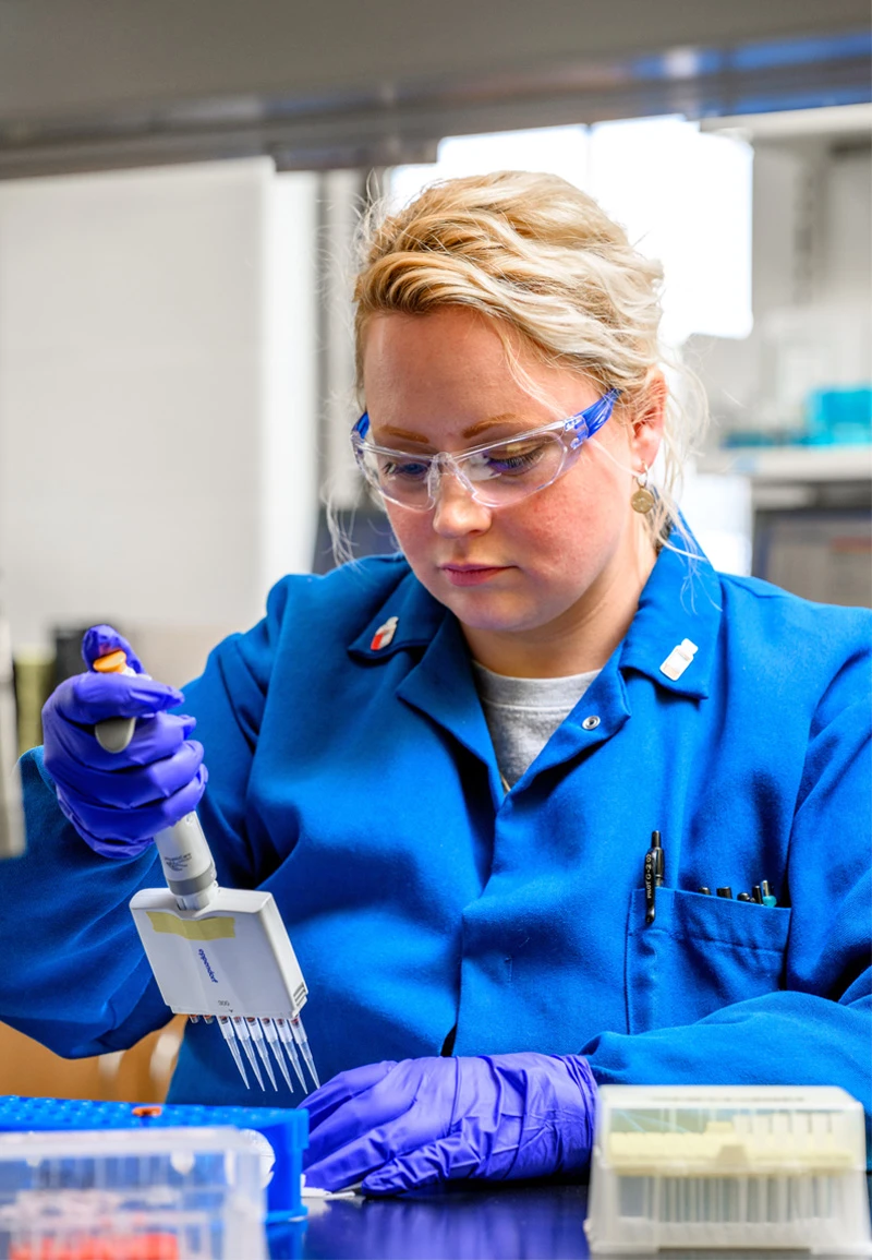 A researcher wearing a blue lab coat and purple gloves uses a multichannel pipette.  She wears clear safety glasses and has shoulder-length blond hair.