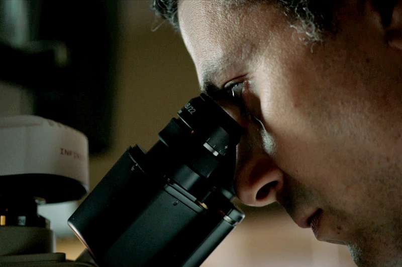 A male peers intently through a microscope.