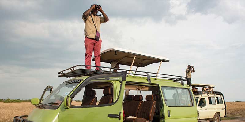 Tour guides spot a lion in Queen Elizabeth National Park.