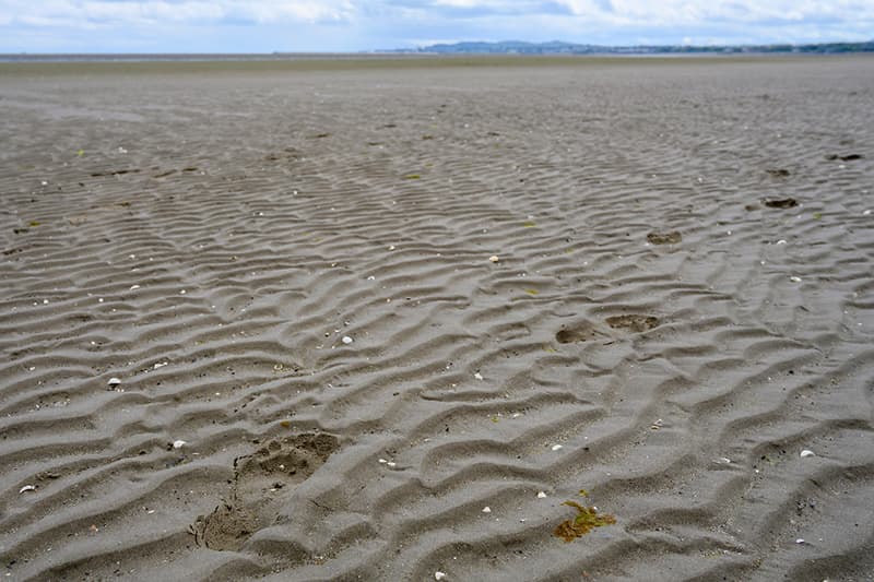 Footsteps in the sand.