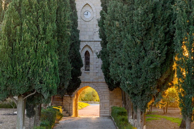 A stone archway with a clock tower is flanked by tall cypress trees on a sunlit path.