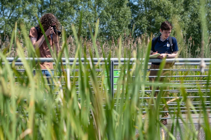 Two interns on a boardwalk surrounded by reeds. One intern with long brown hair takes a photo. The second intern wears a navy polo and looks at a notepad.