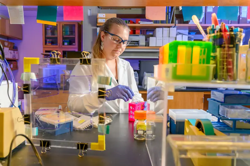 A woman in safety glasses and blue gloves works with pink test tube racks on a lab bench amidst various scientific equipment.